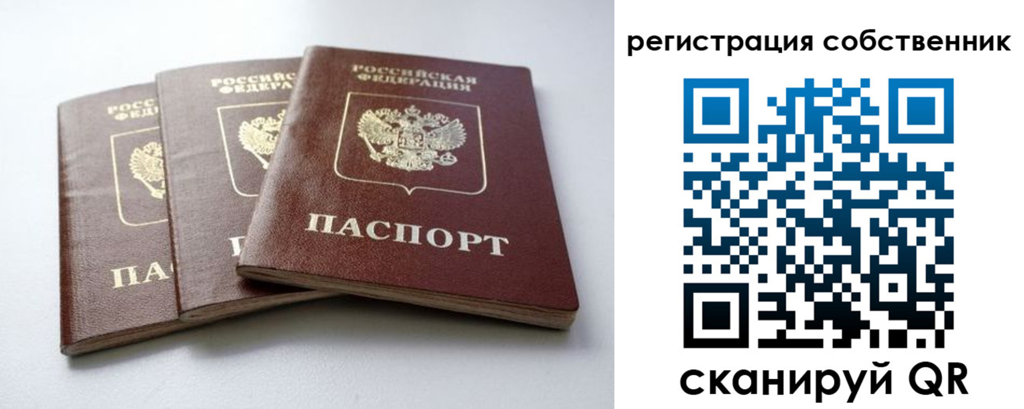 прописка для школы в Муроме